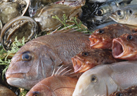 �H�ރC���[�W